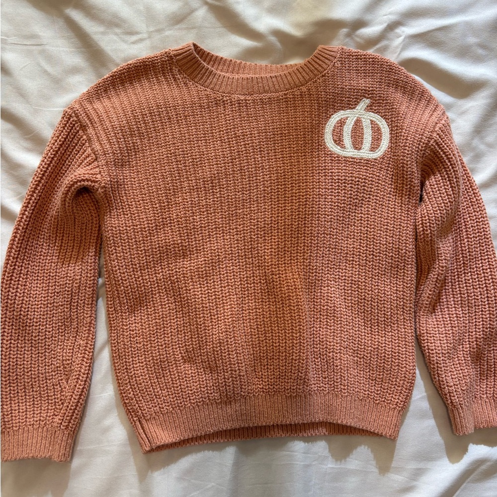 Cat & Jack Pink Sweater with White Pumpkin